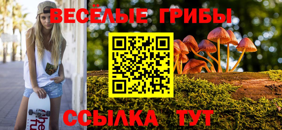 Нарьян-Мар  Галлюциногенные грибы GOLDEN TEACHER  где купить наркотик  Вход с VPN  Псилоцибиновые грибы Psilocybine cubensis 